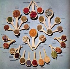 Spices